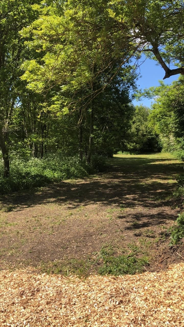 1634 c0188d3ea41049abac87eeec53e0d6f1 1