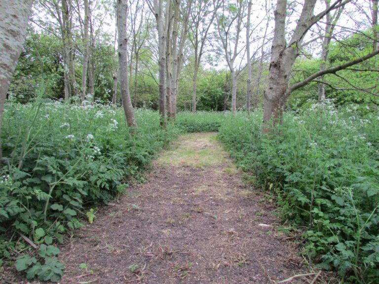 1634 c4d3f194d0b378b0105a2afde4be4d24 1 768x576