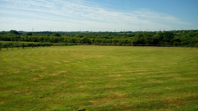 1635 1560ae0d35cd53a7e6ae559084f2d73e 1 768x432