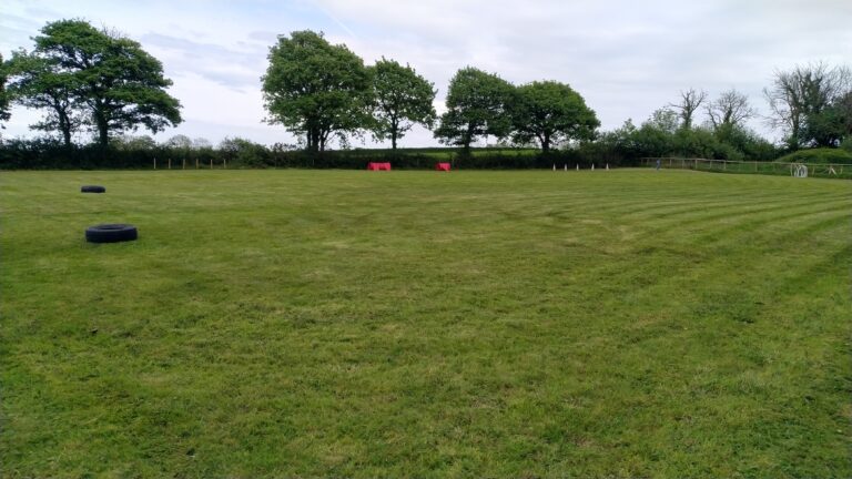 1635 1761c0d4bb0ac071a54e76fc8739b596 1 768x432