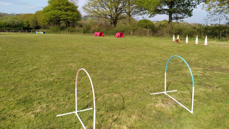 1635 9a2426ccf6dcd2fe42c0ad471d1993c0 1 768x432