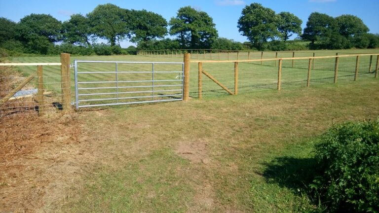 1635 dbfe55371c10096dd98a4c12f06fab14 1 768x432