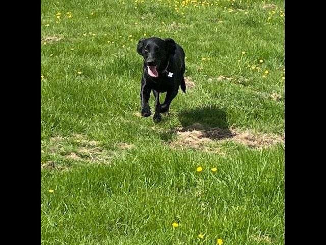 1636 06624eb79c02c3426534009adcd00d3e 1