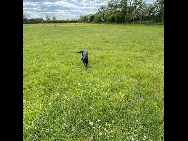 1636 76bef7ddc038a9c5775958db57f54454 1