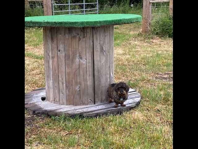 1636 c39e9a1effd85c1a9030b0b967c70d7f 1