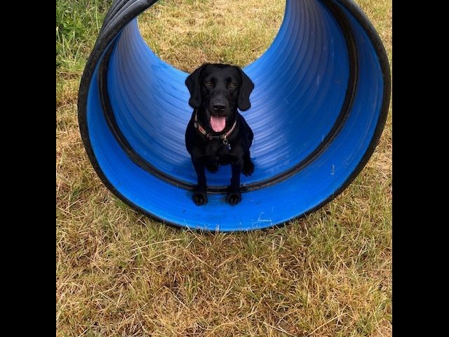 1636 da475466a5955ef5b4843d17525542b7 1