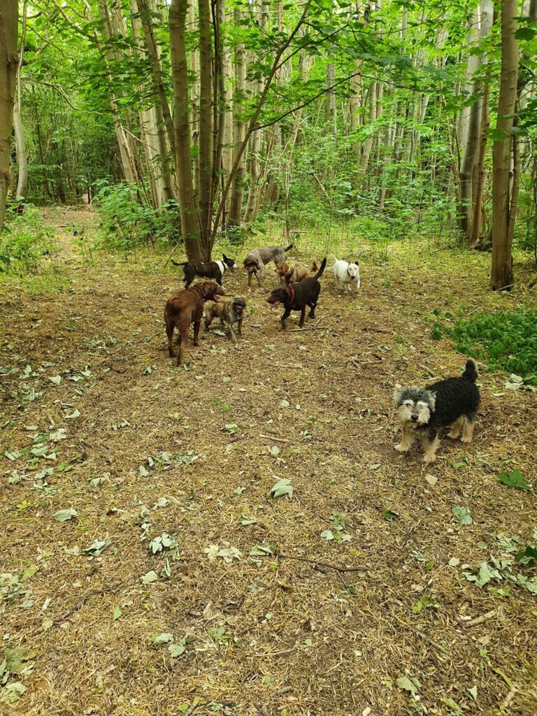 1637 6acdbd67146b6988e33d3d829a069423 1 768x1024