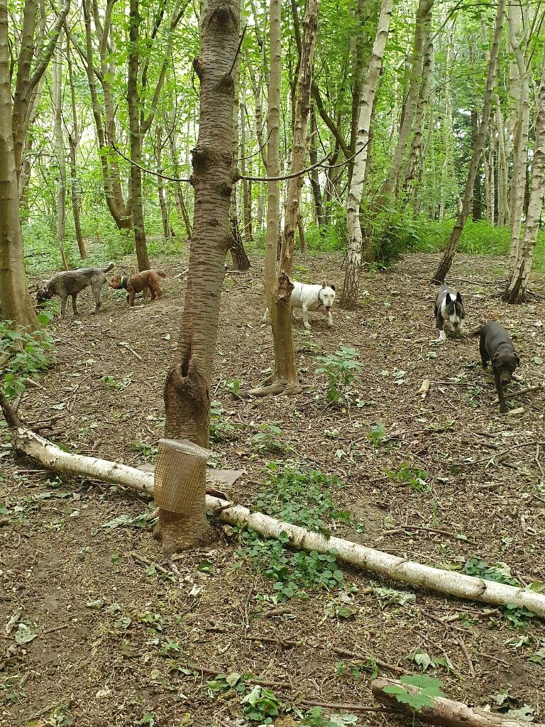 1637 6df3746726639462e1193cc694b32e11 1 768x1024