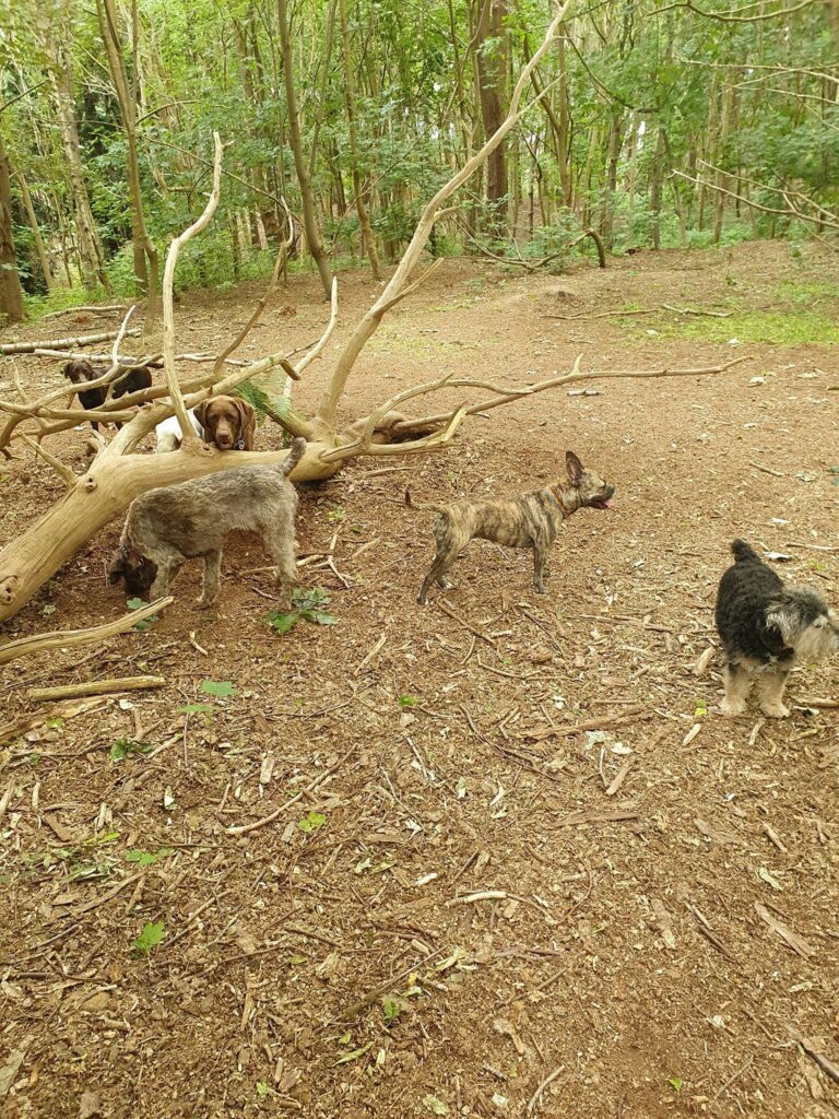 1637 a9aa8a69c747705ed9f39cd5c20371b3 1 768x1024