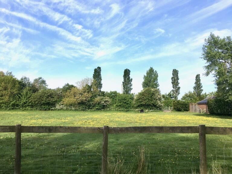 1641 b39b30cb8473d38e2d3c92438c9856d6 1 768x576