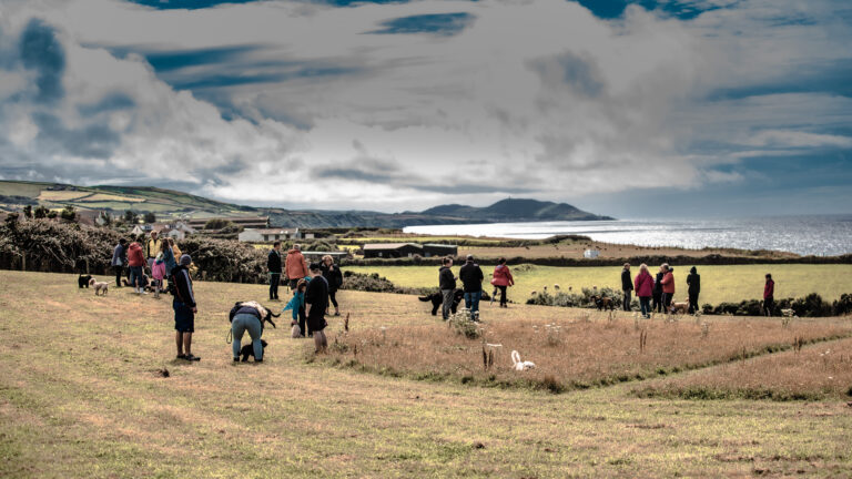 1642 04f23f0fd8f13817117ee871a94835fe 1 768x432