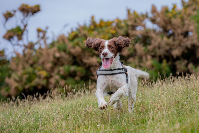 1642 091faa0d4b0cf6764fc8975688c3ded1 1 scaled 768x512