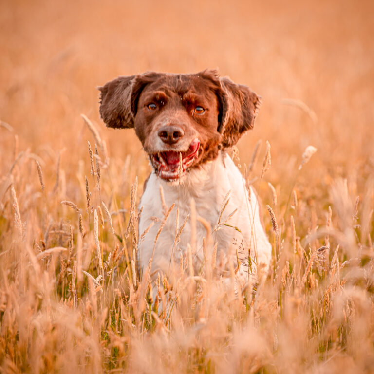 1642 120f1da3d8c6cec6bf3128e93a6d7f8d 1 768x768