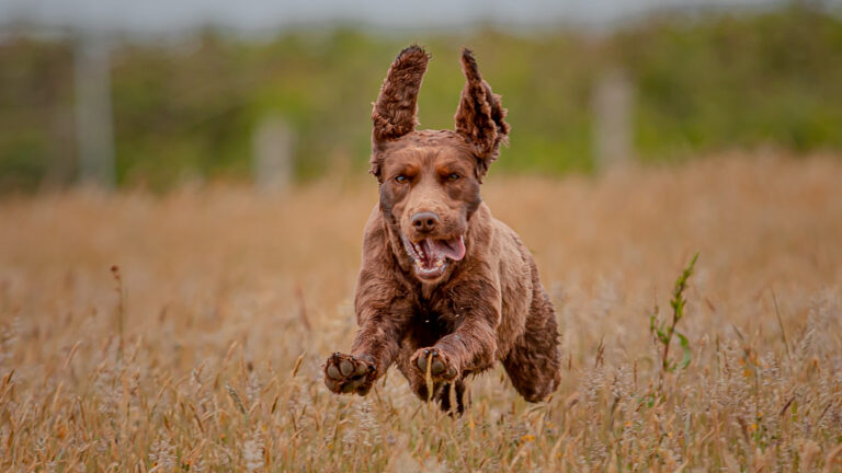 1642 307c68308ad39a3d97f3dfc638d67880 1 768x432