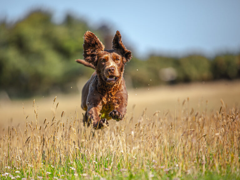 1642 36cd1586aec7dd4d465a2c5a3509643b 1 768x576