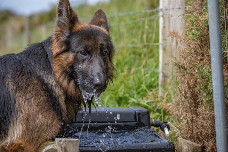 1642 4f32c28f3dffda5db47cacb88b9368dc 1 768x512