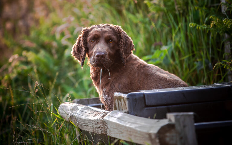 1642 5e4434f442d3bf0833157a13fda2a2ea 1 768x480