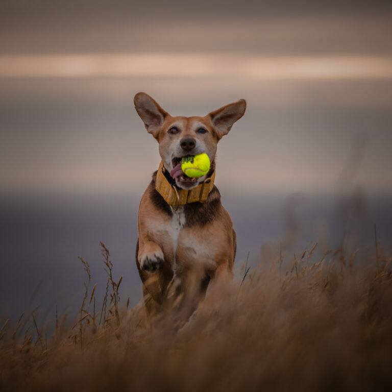 1642 b9317d24dc10469be9e1d5de76cefffa 1 768x768