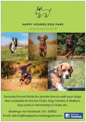 1642 c51c432b042841218a6e3fec5d5d2dec 1