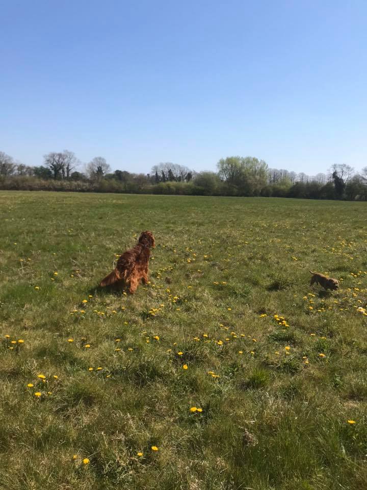 1644 18d1f96c203ff3862826a1419281fb4e 1