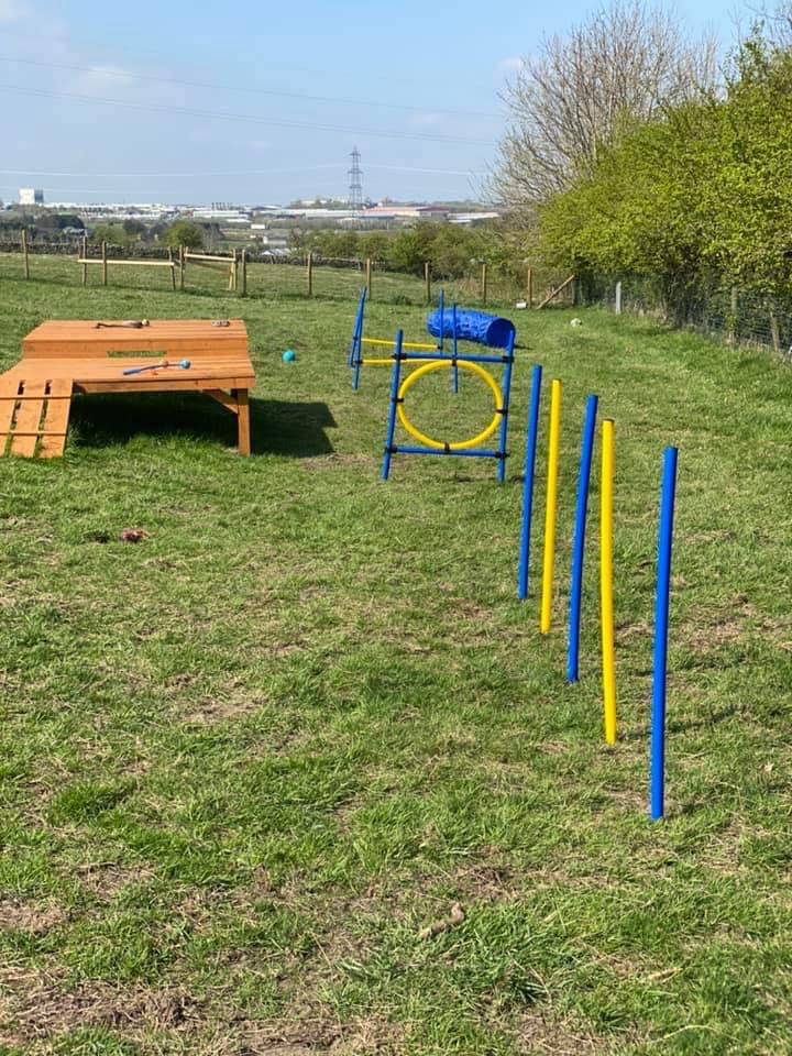 1646 09839121c515749d63c71cb896d5fb7e 1