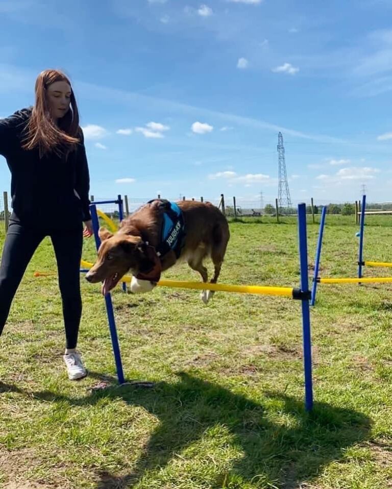 1646 1eb7342c76fa87f641d0dc182a0fdb47 1 768x958