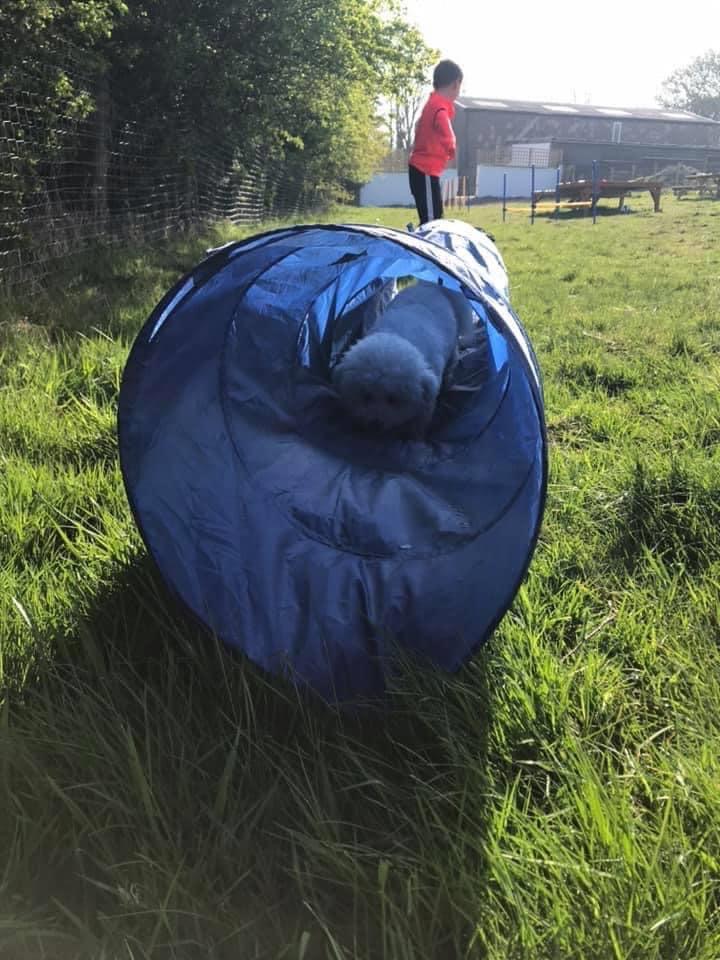 1646 290349c5436a1146c546b84cba4bc5f7 1