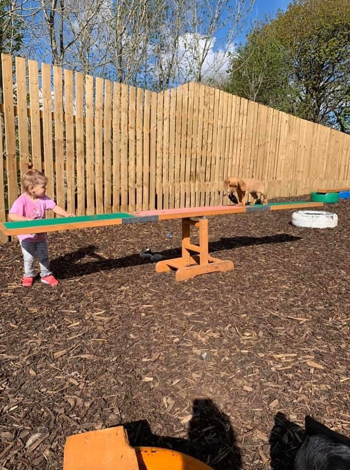 1646 3e91f53869f5b248897e6db8d76aa591 1