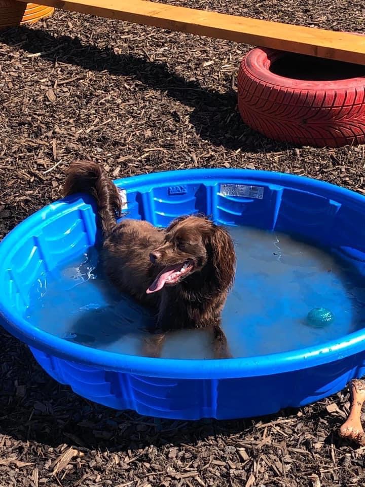 1646 64f7242d200834473eb4951b32df0452 1