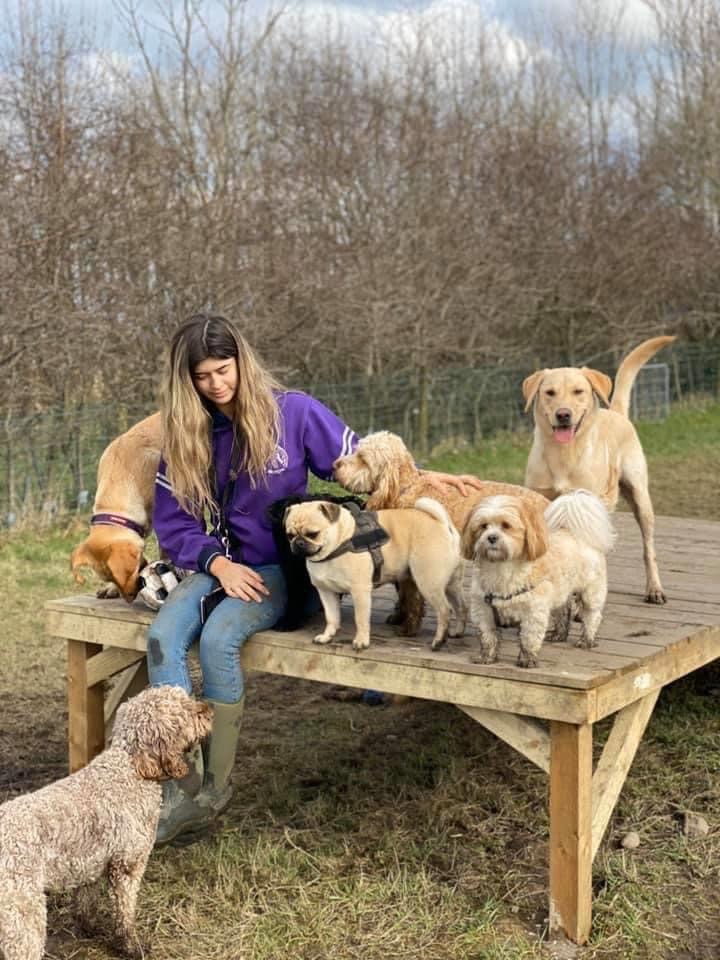 1646 8a208cead26c123295a87a0019b5aed6 1