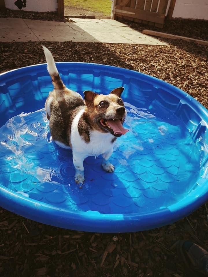 1646 a031530159ee0bbd241fb0b3d4a6e626 1