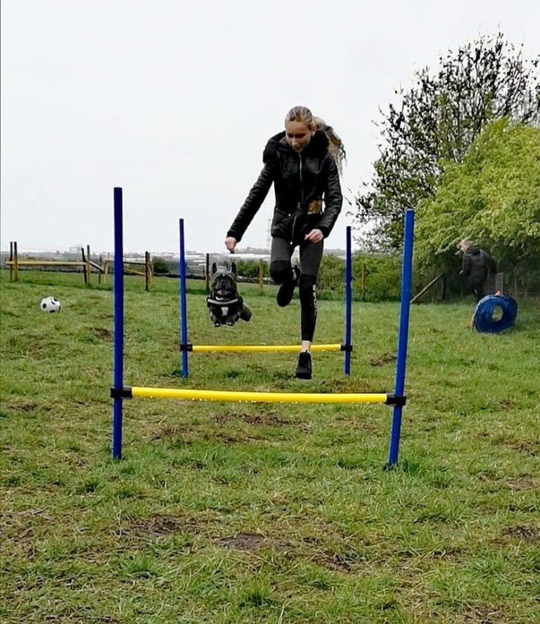 1646 ae7587d761f36b366171b21ff1b370c6 1 768x887