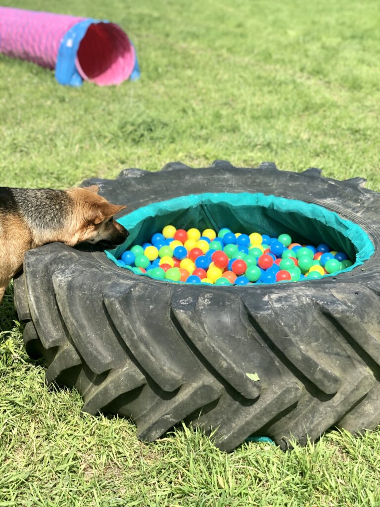 1647 310845f7265a4d6be80726c98d33b603 1 768x1024