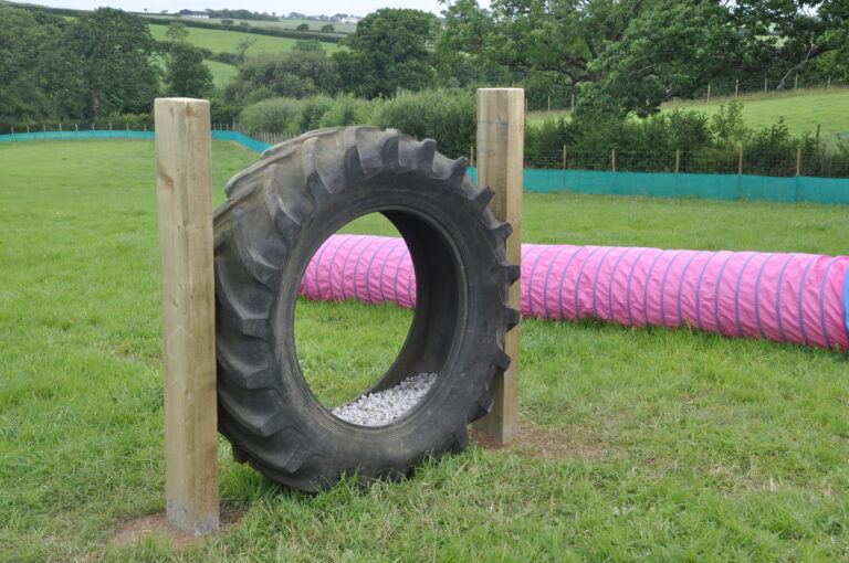 1647 4c8cbf376a8c74f0f65a9801f7426d65 1 768x510