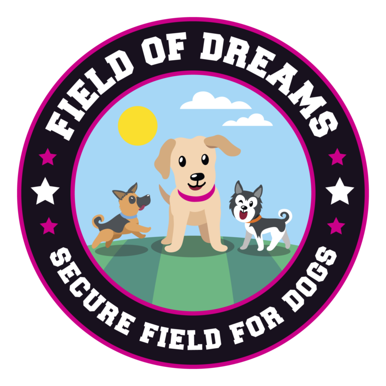 1647 75381ac244145b83048d3e448601ecd2 1 768x768