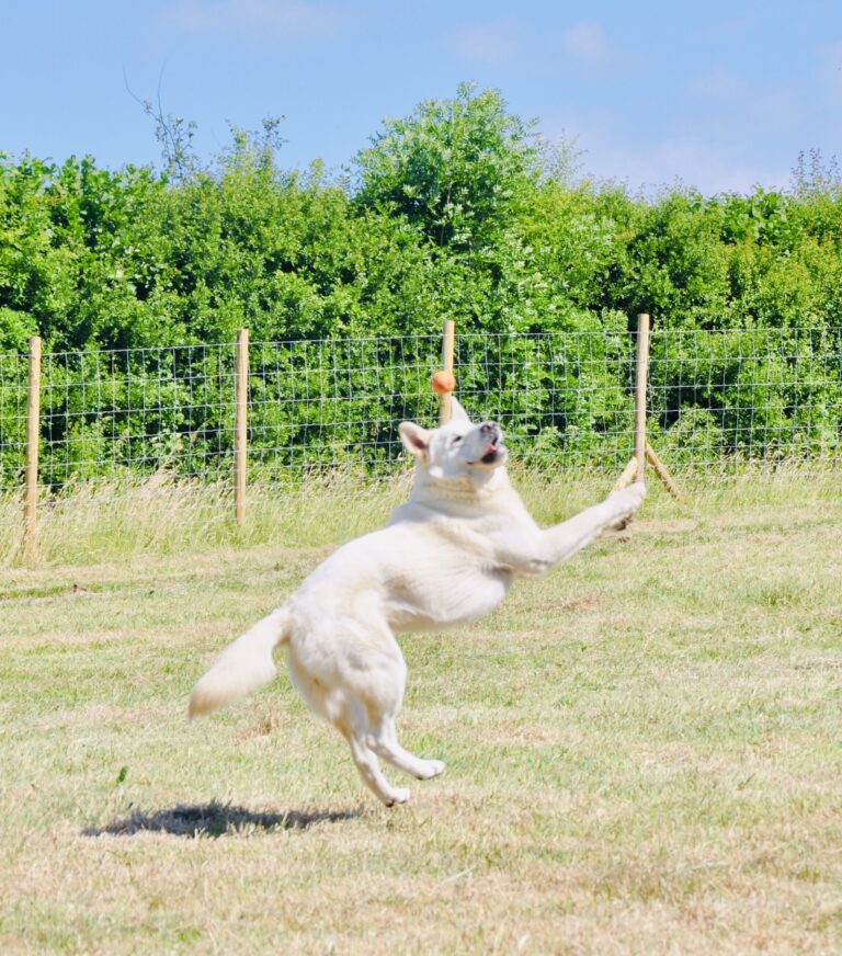 1647 c1e8b5d14238ca71b506edac4ed5057a 1 768x872