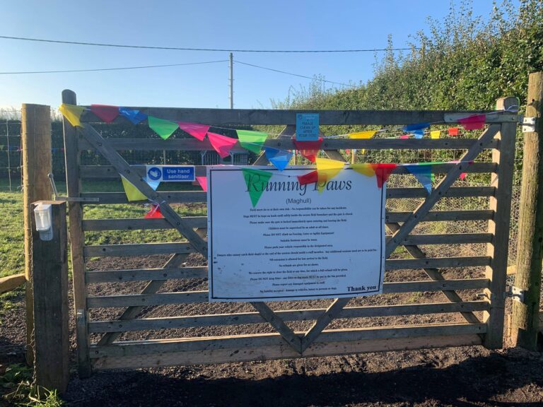 1649 20d81e26f3667d1b5122699ad12adc89 1 768x576