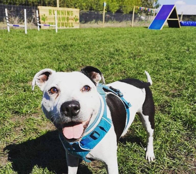 1649 2375475de9c19dc4fff0bc6ef13aa5e7 1 768x682