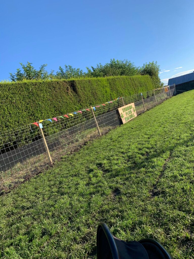 1649 b730545dc8be5ddd58a4fc5a2b79ee7f 1 768x1024