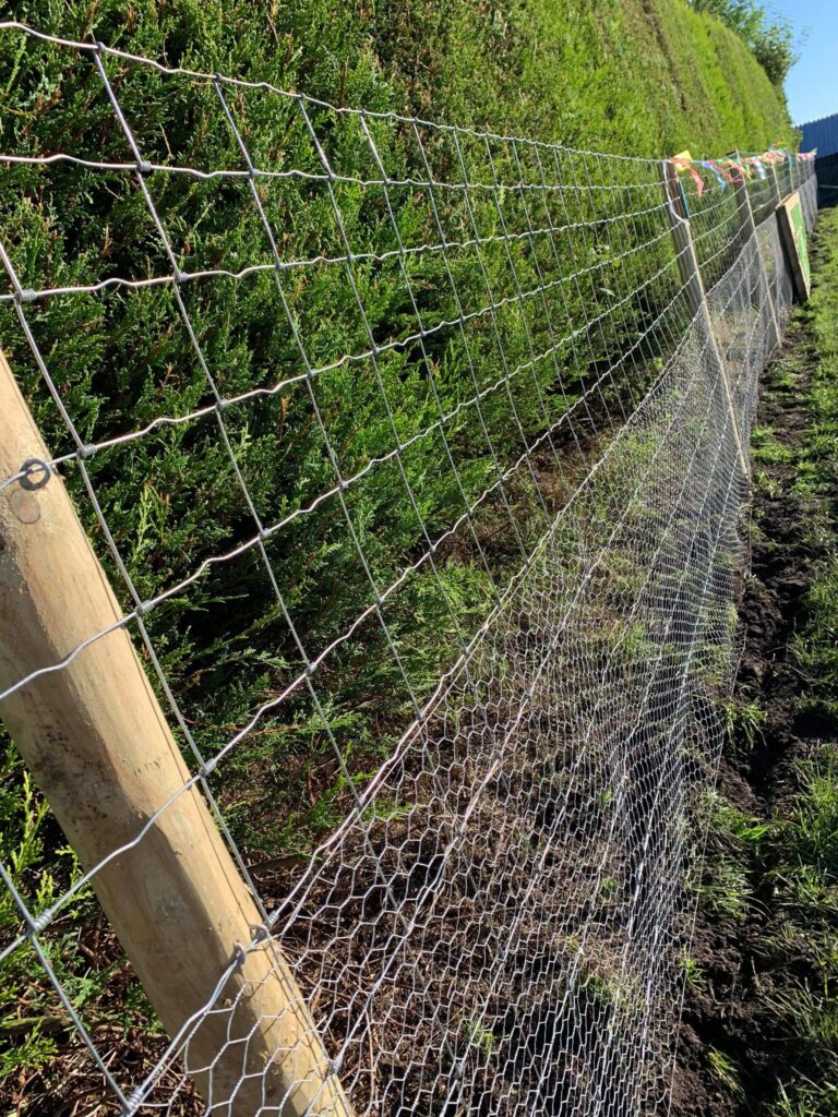 1649 c150967bce1a5beb98aa11314d8fdf07 1 768x1024