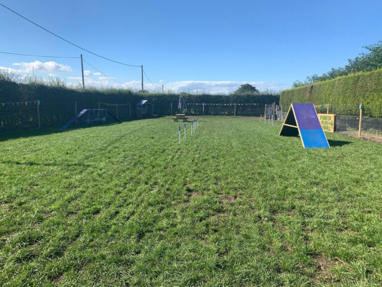 1649 cb43c085e98e02a906efb976f0803b0d 1 768x576