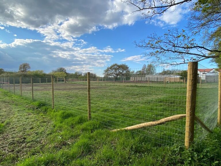 1650 32efc9e5ea078788ee32aef9fc26b5d9 1 768x576