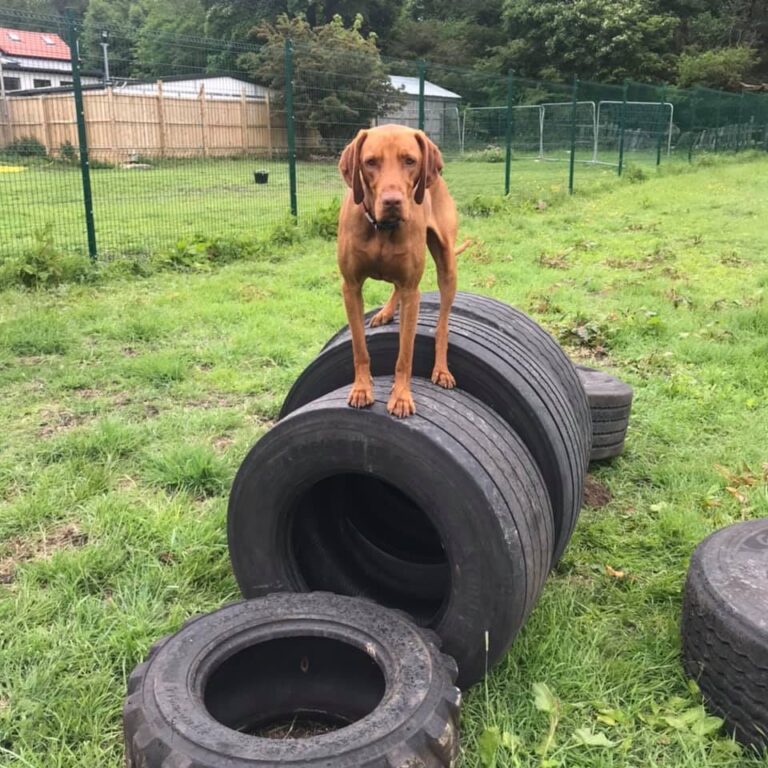 1650 43101c284419f9cd0f8e49643e340c9c 1 768x768