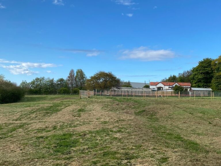 1650 6fbec24af6e5ec7e97a1649e92572b56 1 768x576