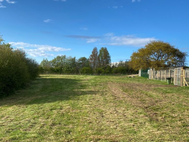 1650 916f794ece9cd5b9b3a4b711a2c30233 1 768x576