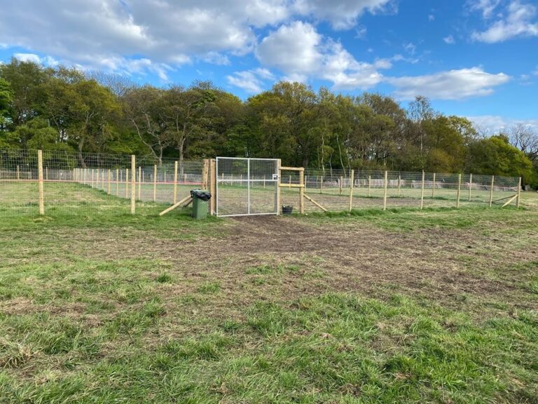 1650 a0c7ed082b8014c47f5f8e52b09b3f45 1 768x576