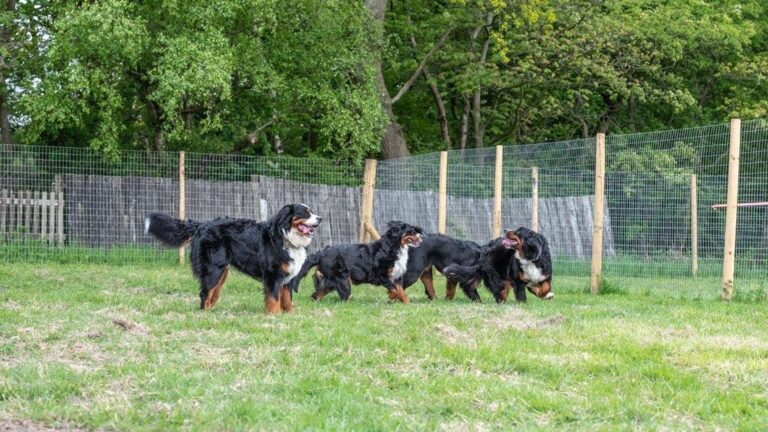 1650 b478d2056ee4ac3c1cb67e30e6b515b1 1 768x432