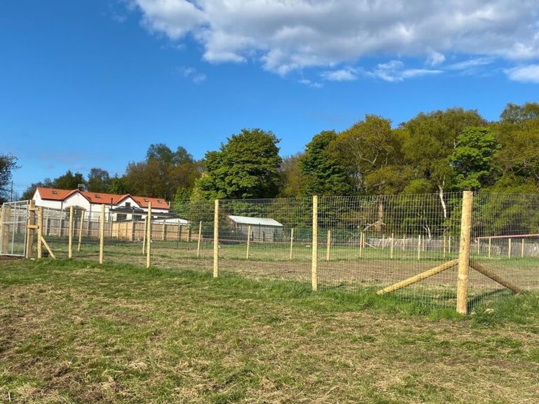 1650 ff441cfbc21e17b05792b0aa3173f9b2 1 768x576