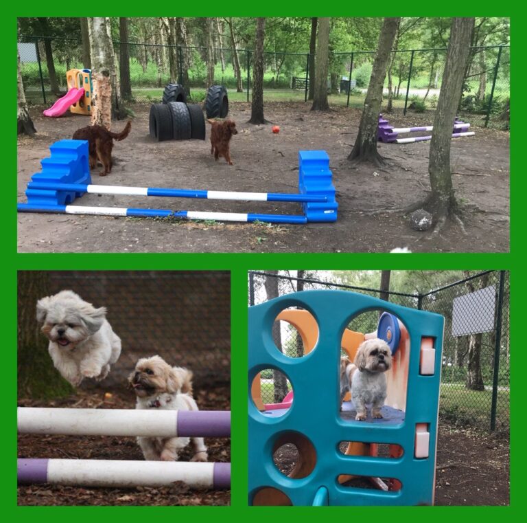 1651 150c1a5b80c49d1c3ef34d547350d531 1 768x761