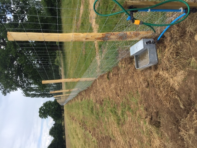 1652 32b083f18734543001043a0c51fc66ea 1